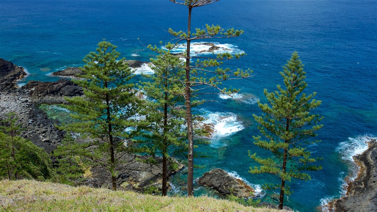 Navigating Norfolk island: Things You Need to Know before Traveling